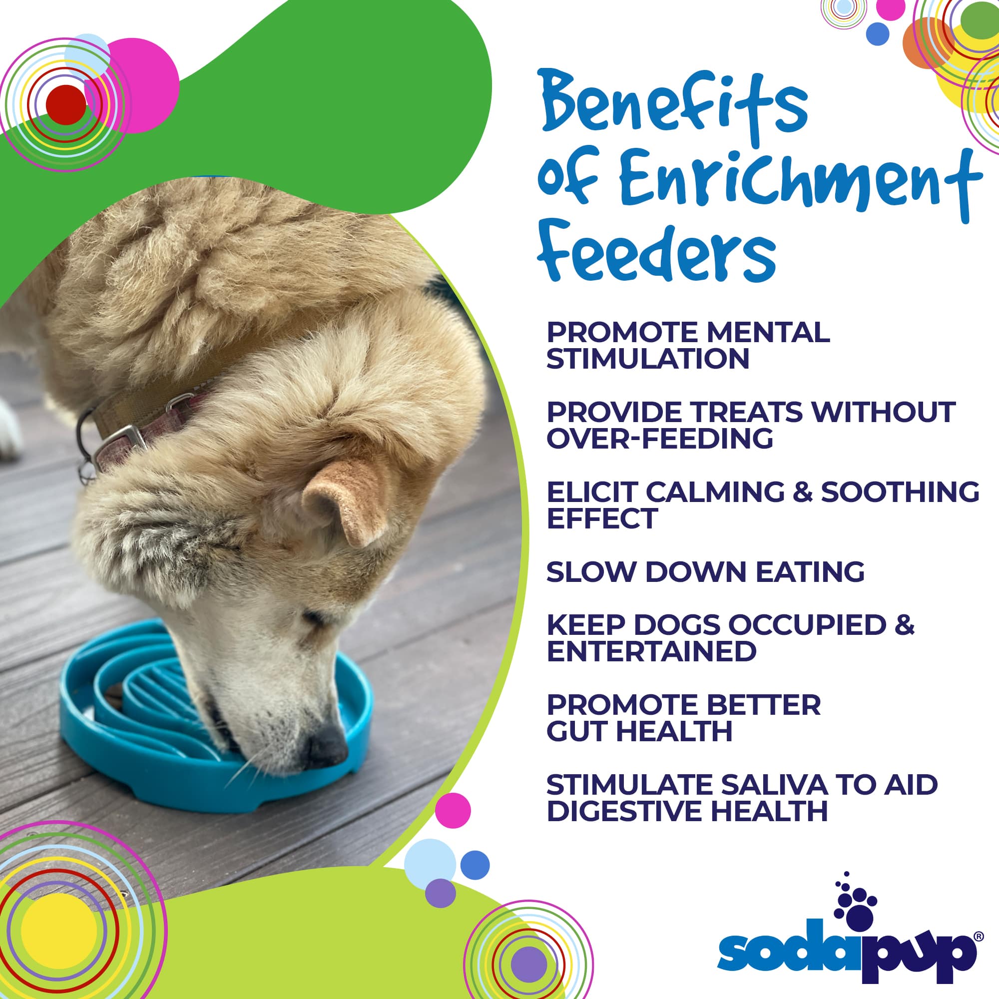 Baja Design eTray - Shallow Slow Feeder Dog Bowl for Enrichment | USA Made